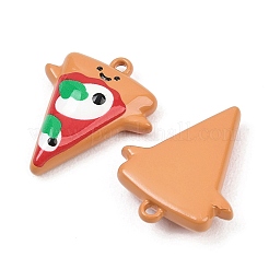 Baking Paint Alloy Pendants&nbsp;FIND-I072-05
