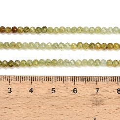 Natural Green Garnet Beads Strands&nbsp;GG-CBA77FB-B11-3mm