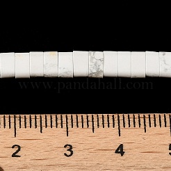 Synthetic Howlite Beads Strands&nbsp;G-Z045-A25-01