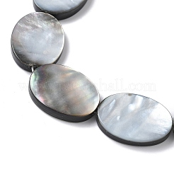 Natural Black Lip Shell Beads Strands&nbsp;BSHE-D300-02-18x25mm