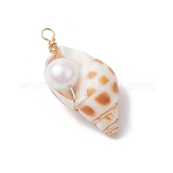 3Pcs Natural Shell Pendants&nbsp;PALLOY-JF03226-01