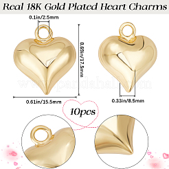 10Pcs Rack Plating Brass Pendants&nbsp;KK-BBC0011-20