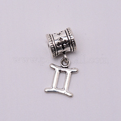 Tibetan Style Alloy Pendants Set&nbsp;PALLOY-WH0070-48P