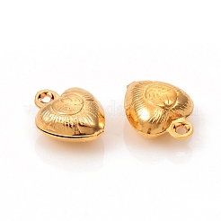 304 Stainless Steel Charms&nbsp;STAS-L244-42G