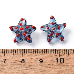 Handmade Lampwork Beads Strands&nbsp;LAMP-I027-09J