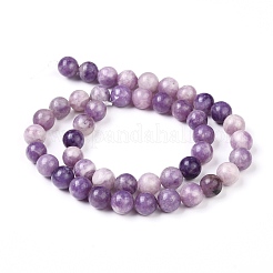 Natural Lepidolite/Purple Mica Stone Beads Strands&nbsp;G-K415-10mm