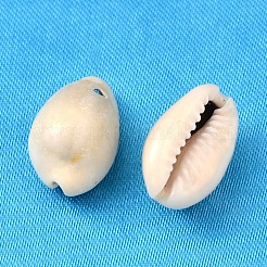Natural Cowrie Shell Pendants&nbsp;BSHE-S049