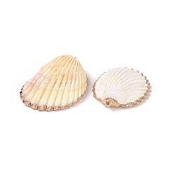 Shell Pendants&nbsp;SHEL-P075-03