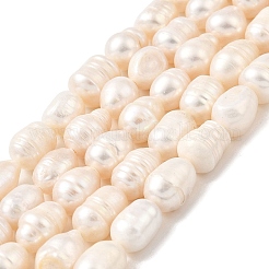 Natural Cultured Freshwater Pearl Beads Strands&nbsp;PEAR-I007-01F-01A