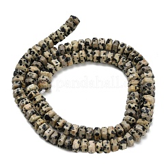 Natural Dalmatian Jasper Beads Strands&nbsp;G-G317-A16-3x6mm