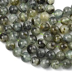 Natural Prehnite Beads Strands&nbsp;G-D361-02A-10mm