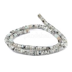 Natural Sesame Jasper/Kiwi Jasper Beads Strands&nbsp;G-Z006-C22