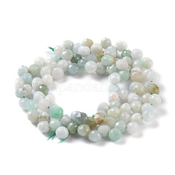 Natural Myanmar Jade/Burmese Jade  Beads Strands&nbsp;G-H243-17