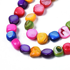 Natural Trochid Shell/Trochus Shell Beads Strands&nbsp;SHEL-S258-083-B08