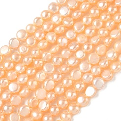 Natural Cultured Freshwater Pearl Beads Strands&nbsp;PEAR-C004-21B