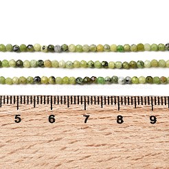 Natural Serpentine Beads Strands&nbsp;G-P603-C-2mm-06