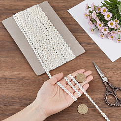 15 Yards Polyester Metallic Elastic Lace Trim&nbsp;OCOR-WH0082-151A