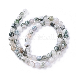 Natural Tree Agate Beads Strands&nbsp;G-L533-22