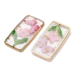 Brass & Transparent Epoxy Resin & Dried Flower Pendants&nbsp;RESI-G133-01G-03