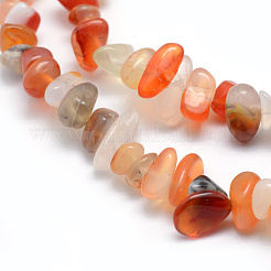 Natural Carnelian/Red Agate Beads Strands&nbsp;G-P332-34B