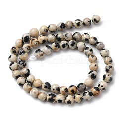 Natural Dalmatian Jasper Beads Strands&nbsp;LS-G-Z116-A10-3mm
