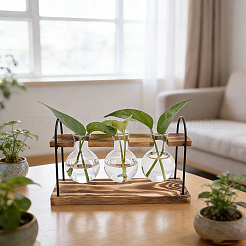 Rustic Triple Glass Hydroponic Vase with Wooden Stand&nbsp;AJEW-WH0709-515