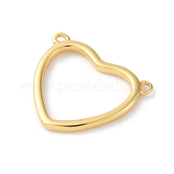 Brass Connector Charms&nbsp;LS-KK-V016-11G
