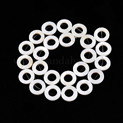 Natural Freshwater Shell Beads Strands&nbsp;SHEL-N036-03