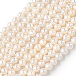 Natural Cultured Freshwater Pearl Beads Strands&nbsp;PEAR-C004-04