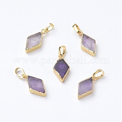 Natural Amethyst Pendants&nbsp;G-E564-05A-G