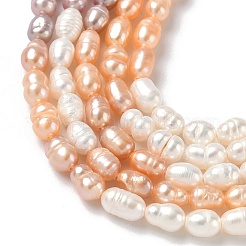 Natural Cultured Freshwater Pearl Beads Strands&nbsp;PEAR-C004-14A