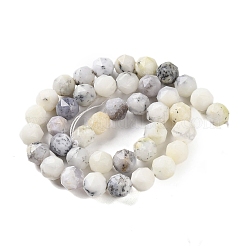 Natural White African Opal Beads Strands&nbsp;G-NH0021-A26-02