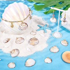 30Pcs Electroplated Edge Natural Sea Shell Pendants&nbsp;SSHEL-SC0001-63