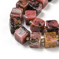 Natural Rhodonite Beads Strands&nbsp;G-G053-B11-01C