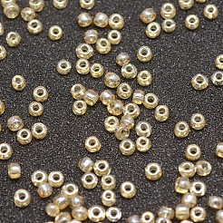 8/0 Glass Seed Beads&nbsp;SEED-J012-F8-102