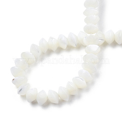 Natural Trochid Shell/Trochus Shell Bead Strands&nbsp;SSHEL-N034-134