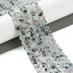 Natural Sesame Jasper Beads Strands&nbsp;G-M403-A40-02