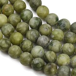 Natural Taiwan Jade Beads Strands&nbsp;X-GSR032