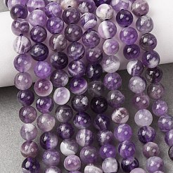 Natural Chevron Amethyst Beads Strands&nbsp;G-P428-04A-6mm