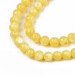 Natural Freshwater Shell Beads Strands&nbsp;SHEL-N003-24-B08