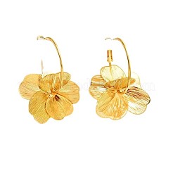 Alloy Hoop Earrings&nbsp;FS-WG33705-01