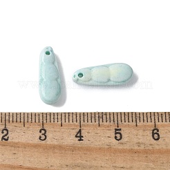 Natural Rainbow Alashan Agate Charms&nbsp;G-G194-05
