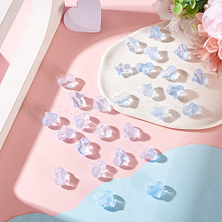 30Pcs Transparent Glass Beads&nbsp;GLAA-TADJ0001-02F