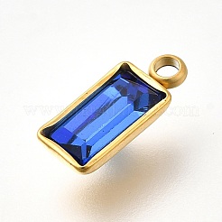 304 Stainless Steel Rhinestone Pendants&nbsp;STAS-Z125-12G-G