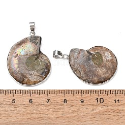 Fossil Pendants&nbsp;X-G-D051-1