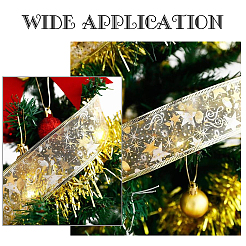 Bronzing Double Layer Polyester Ribbon&nbsp;DIY-WH0282-05