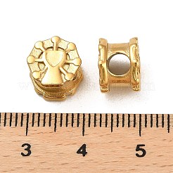 304 Stainless Steel European Beads&nbsp;STAS-Z052-05G