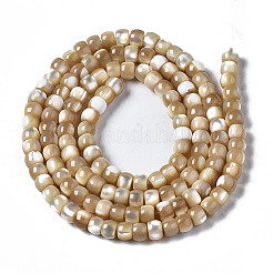 Natural Trochid Shell/Trochus Shell Beads Strands&nbsp;SSHEL-S266-018B-02