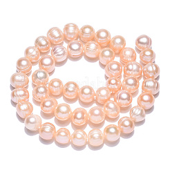 Natural Cultured Freshwater Pearl Beads Strands&nbsp;PEAR-N013-07L