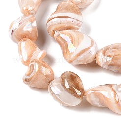 Natural Trochid Shell/Trochus Shell Beads Strands&nbsp;SSHEL-T017-01